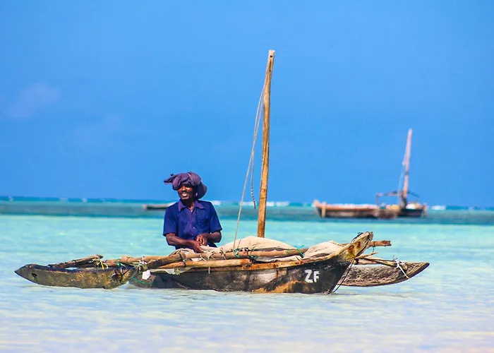 Zlife Stone Town